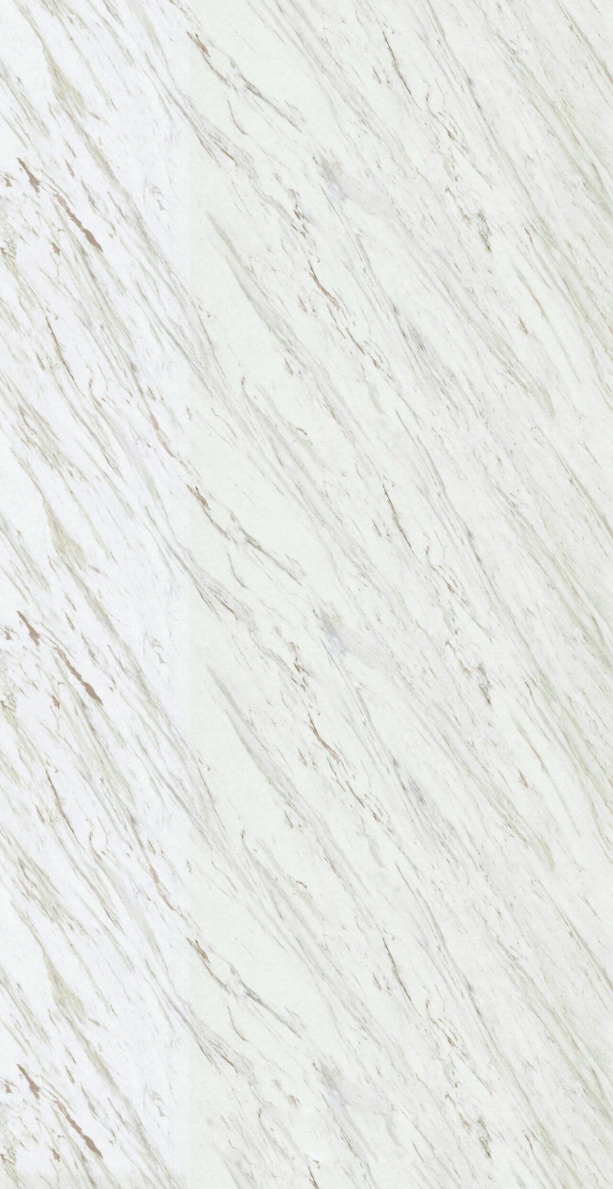 Taveera Marble